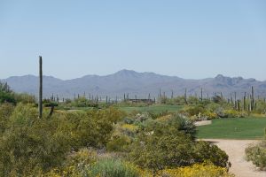 Dove Mountain (Wild Burro) 2nd